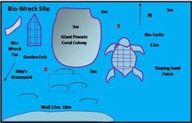 bio-wreck map